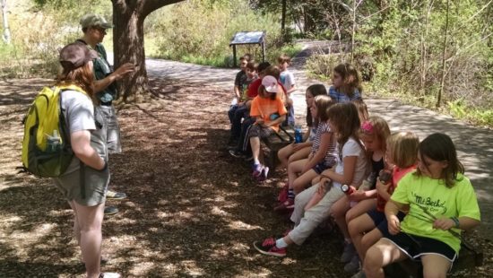 Winter Camp, Spring Camp and Fall Camp Programs at Chattahoochee Nature ...