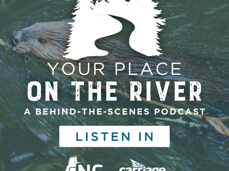 CNC 1140 Your Place on the River graphics beaver 1120 x 1120